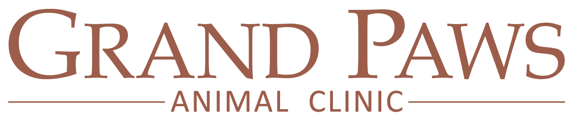 Grand Paws Animal Clinic