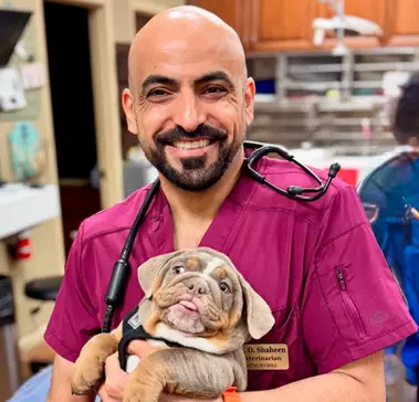 Dr. Omar Shaheen